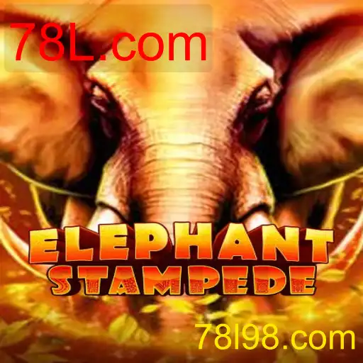 ElephantStampede